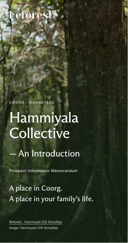 Cover of the Hammiyala Collective prospect deck