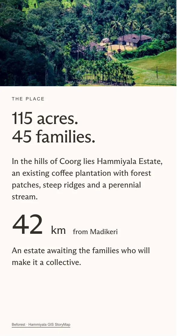 Hammiyala Collective prospect deck, page 2