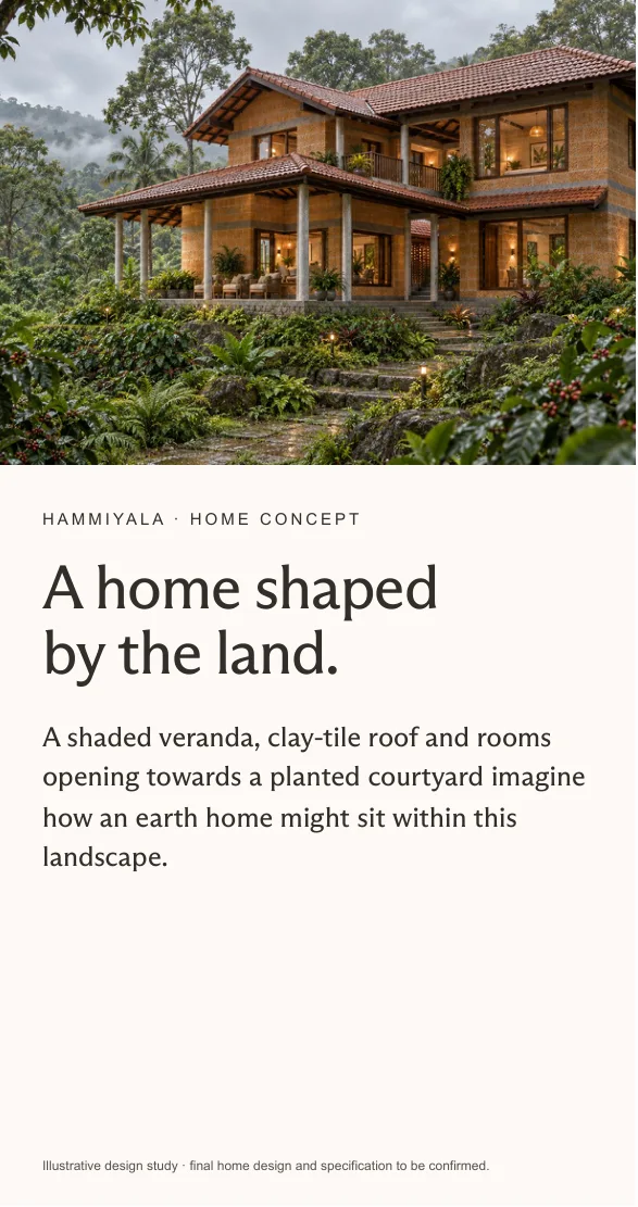 Hammiyala Collective prospect deck, page 7