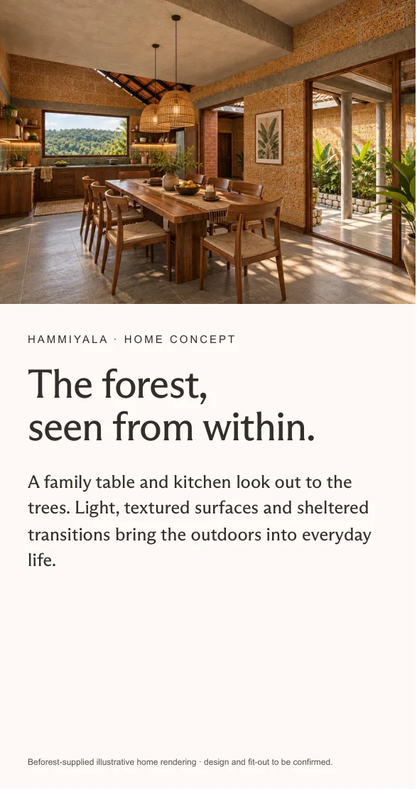 Hammiyala Collective prospect deck, page 8