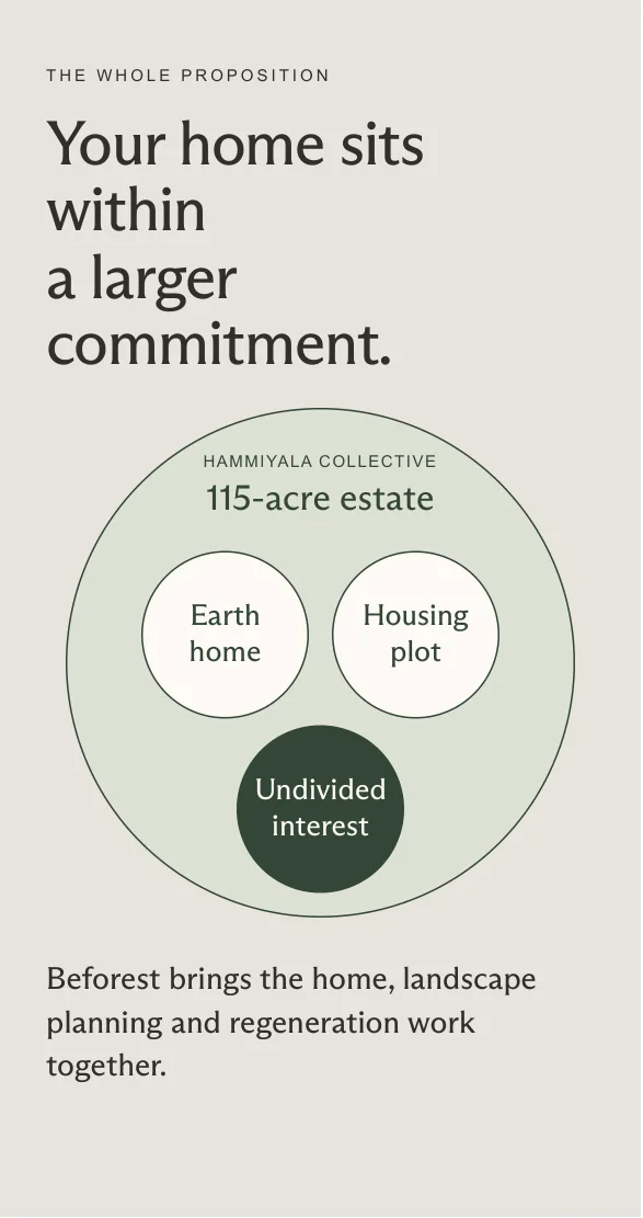 Hammiyala Collective prospect deck, page 11