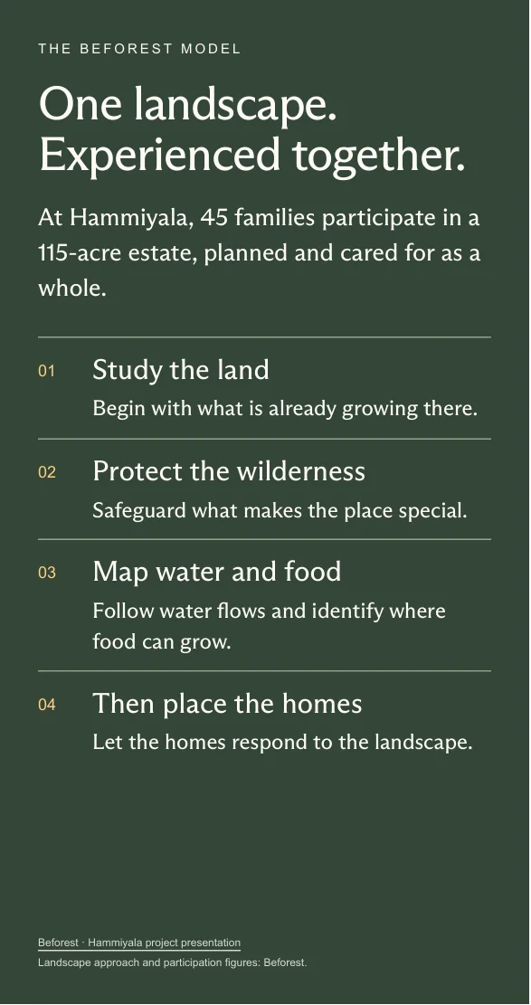 Hammiyala Collective prospect deck, page 12