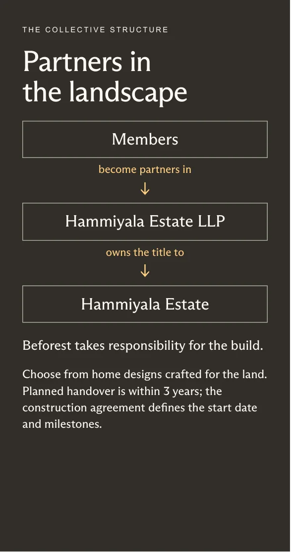 Hammiyala Collective prospect deck, page 16