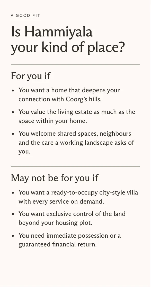 Hammiyala Collective prospect deck, page 23